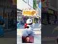 cute panda and gorilla 😂🥰#shorts #trending #viral #funny #comedy #shortsfeed #viralvideo #reels