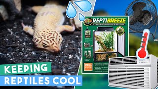 How To SAFELY Keeps Your Reptiles Cool In HOT Weather