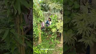 Upcoming movieprojectintamilnadu #fpv #comedy#fpvdrone #funny #chennai #getfpv #hovercamera #camera