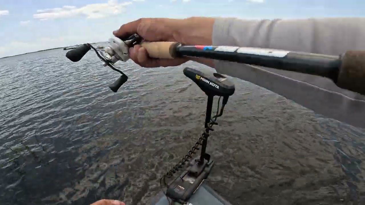 NEW 7'6 HF SCENKO STIX Awakening Series PUTTIN WORK on a 5 POUNDA!!