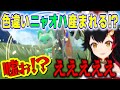 【ポケモンSV】約1時間で野生とニャオハの色違いをGETしてしまった豪運ミオしゃ【大神ミオ/ホロライブ/切り抜き】