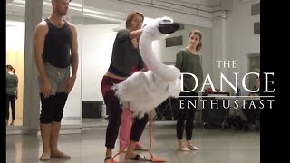 New York Dance Up Close: A Minute of Allegra Kent's "Ballerina Swan"