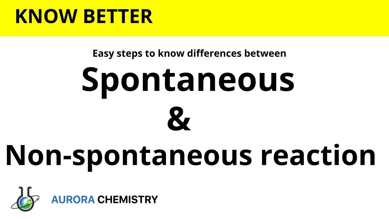 Write differences between SPONTANEOUS and NON-SPONTANEOUS reactions ...
