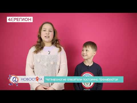 НОВОСТЯТА 37 выпуск