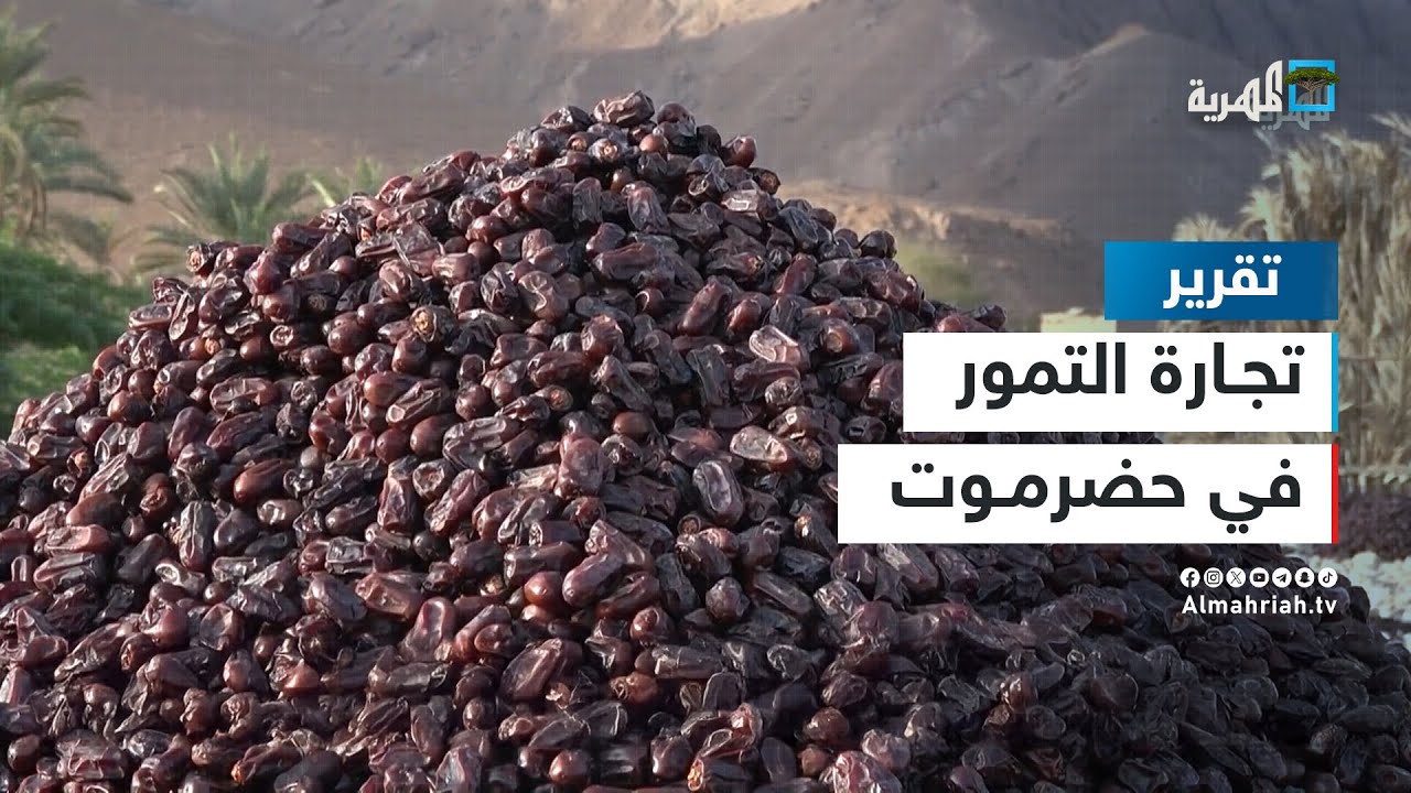 ثلاثة مليون نخلة في وادي حجر بحضرموت والنساء أبرز العاملين