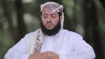 سورة الزلزلة  من برنامج سفراء الوحي - وديع اليمني