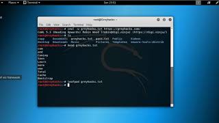 CeWL Custom Wordlist Generator Taking URL as Parameter Greyhacks