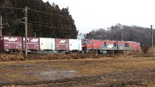 2020/01/08 JR貨物 3055レ EH500-56 白河 | JR Freight: Cargo Train in Shirakawa