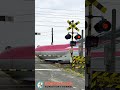 【踏切 電車】なにが通るかな？？？【ふみきりショート動画273】 #shorts