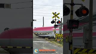 【踏切 電車】なにが通るかな???【ふみきりショート動画273】  #shorts