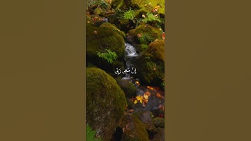 #سورة #القران_الكريم #qs #الفاتحة #تلاوات_خاشعة #قرآن #آية #quran #explore #تلاوة