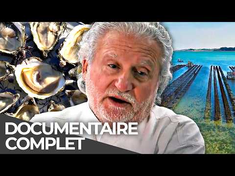 Les Secrets de l’Huître : Qu’est-ce qui la rend si précieuse ? | Documentaire Français documentary thumbnail