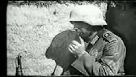 Threshold of pain -  open fire / new song