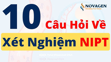 10 câu hỏi về Xét Nghiệm NIPT Sàng Lọc Trước Sinh Không Xâm Lấn mẹ bầu cần biết