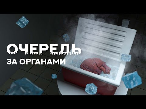 Очередь за органами. Как устроена трансплантация в России