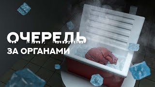 Очередь За Органами. Как Устроена Трансплантация В России