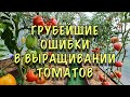 НЕ ДЕЛАЙТЕ ЭТИХ ОШИБОК! Томаты ТОЧНО ЗАБОЛЕЮТ ФИТОФТОРОЙ и дадут ПЛОХОЙ урожай!