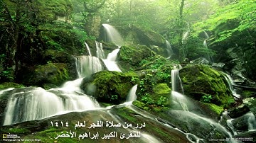 تلاوة نادرة سورة الطارق صلاة الفجر المسجد النبوي الشيخ إبراهيم الأخضر 1414