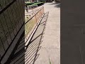 Lal Kila ke andar ke janvaron Se Pyar
