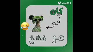 مره جبت كلب شيكي دودو شيكي دودو 😂🐕 #ترند