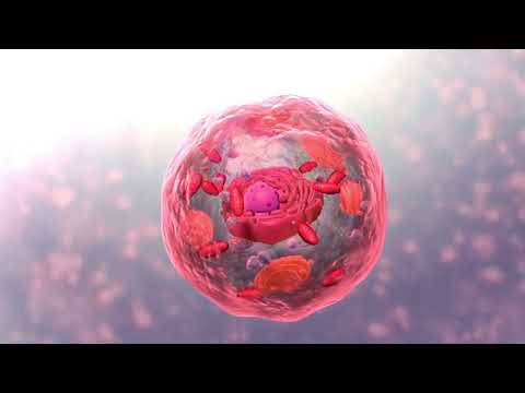 Video: Cos'è una cellula trasformata?