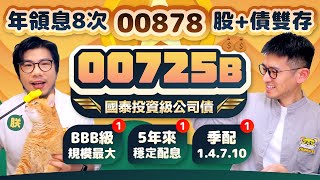 用00878股債雙存00725B 一年8次領息股債ETF組合! 存股斜槓存債季配月領人氣爆增 | 柴鼠ETF新同學