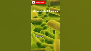 Is the 5 Second Rule Scientific? #shorts