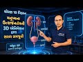 "Human Excretory System: મનુષ્યનું ઉત્સર્જનતંત્ર | ધોરણ 10 વિજ્ઞાન | 3D Animation"