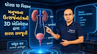 "Human Excretory System: મનુષ્યનું ઉત્સર્જનતંત્ર | ધોરણ 10 વિજ્ઞાન | 3D Animation"