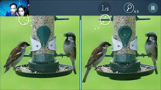 ✅Difference Find King Max Levels Game Update All Trailers Android, iOS Gameplay Ep.02 screenshot 5
