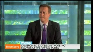 David Cameron: Don’t Leave UK Because of ‘Effing Tories’ David Cameron: Don’t Leave UK Because of ‘Effing Tories’
