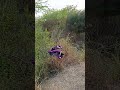 #entertainment #shortsfeed #shortvideo #shortsviral 🌺🌺🌺🌺♥️♥️🌺🌺🌺🌺🌺🌺🌺#like&subs......
