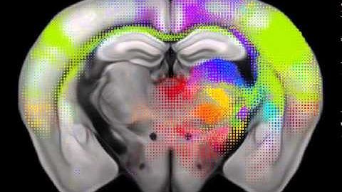 Connectivity Dot-o-Gram