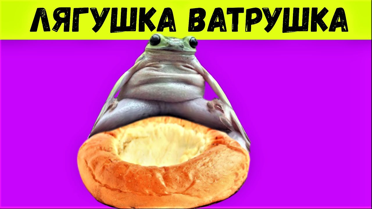 Ватрушки мем