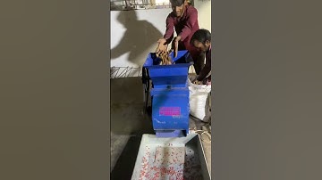Groundnut decorticator Machine, Groundnut shell removal machine📱📞☎️ +91 90983 83797