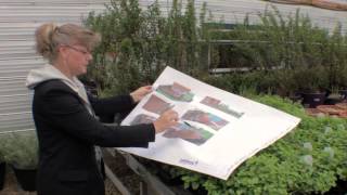 EP2_Before you hire a landscape designer