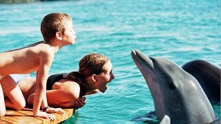 The Eilat Dolphin Reef