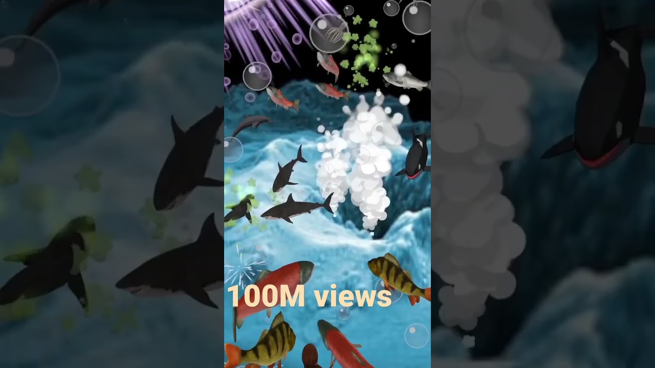 aquarium relaxing relaxation animation 