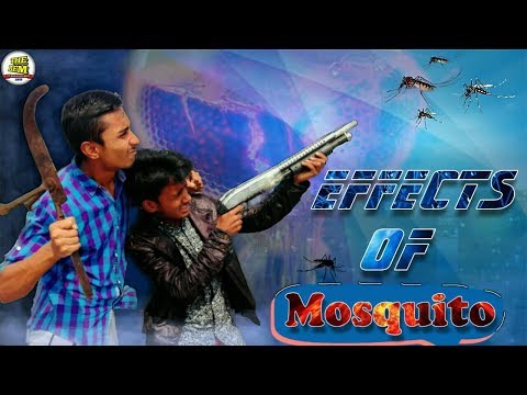 Effects Of Mosquito || An Endless Battle || New Bangla Funny Video ||
THE BFM