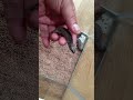End of video