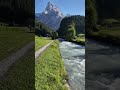 Pure Water Spring in Nature | So Relaxing & Beautiful! #Shorts #Nature #WaterSpring #Relaxing