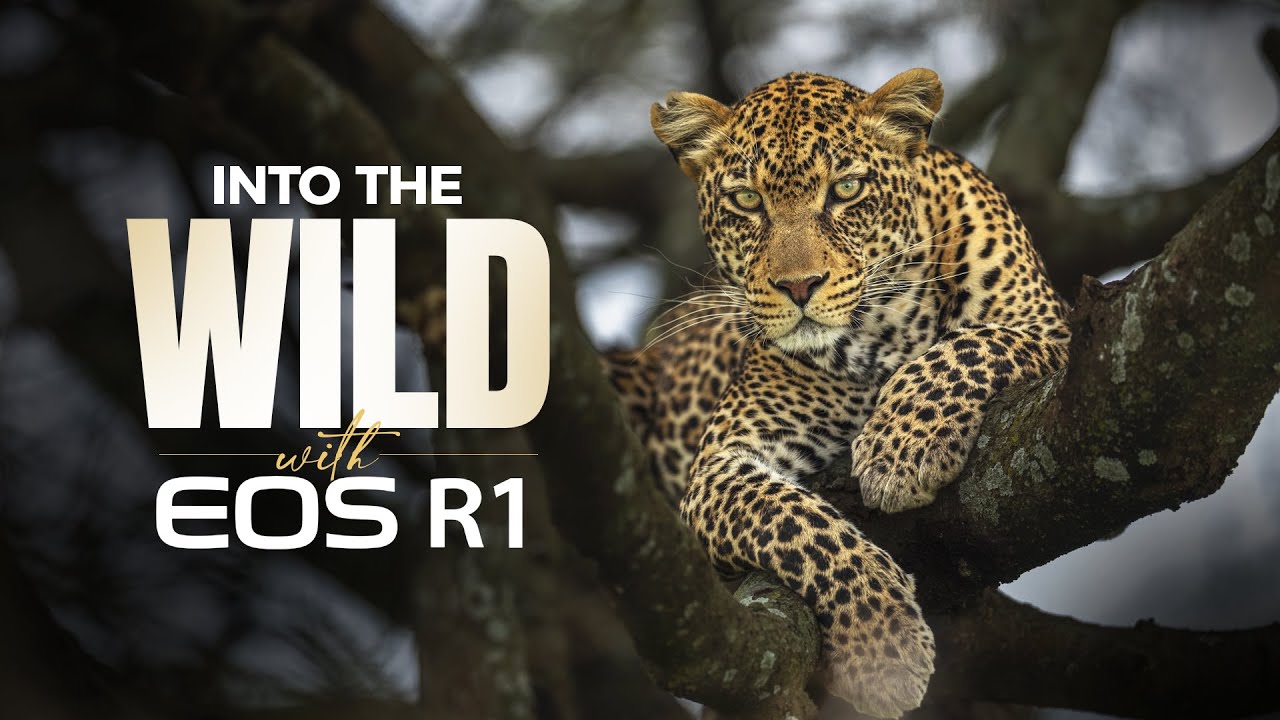 Ramachandiran Govindaraj x EOS R1: Into the Serengeti National Park, Tanzania