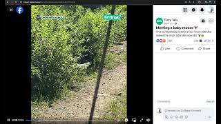 Reverse Image Search Facebook Video