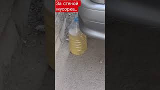 токсичные традиции #automobile #автопрогулка #history #автомобиль #отогревавто #обзор #рецепты #моча