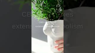 Cbd Absorption, Metabolism, And Drug Interactions - Part 1