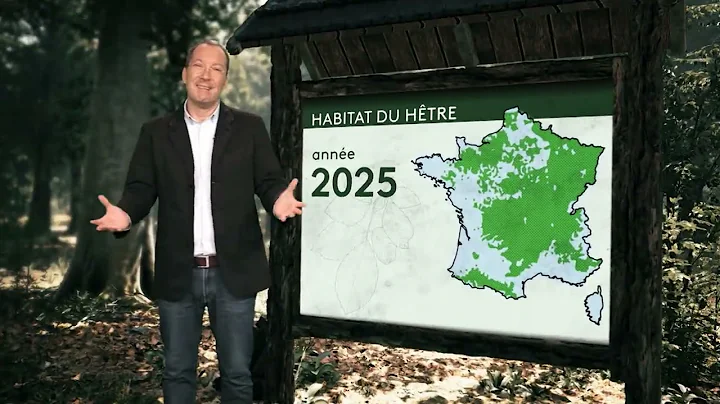 3 INFOS : L'AVENIR DE LA  FORÊT FRANCAISE - JT 20H - FRANCE 2 - 10/12/2025