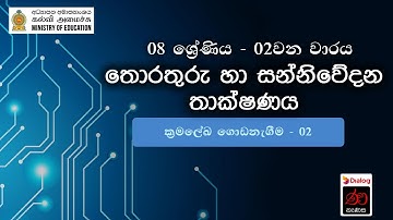ක්‍රමලේඛ ගොඩනැගීම - 02 | තොරතුරු හා සන්නිවේදන තාක්ෂණය | 8 ශ්‍රේණිය