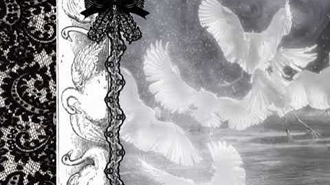 Demo no.2 - untitled