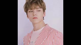 Seventeen Vernon