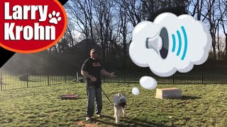 Basic dog communication with humans / how to talk to your dog